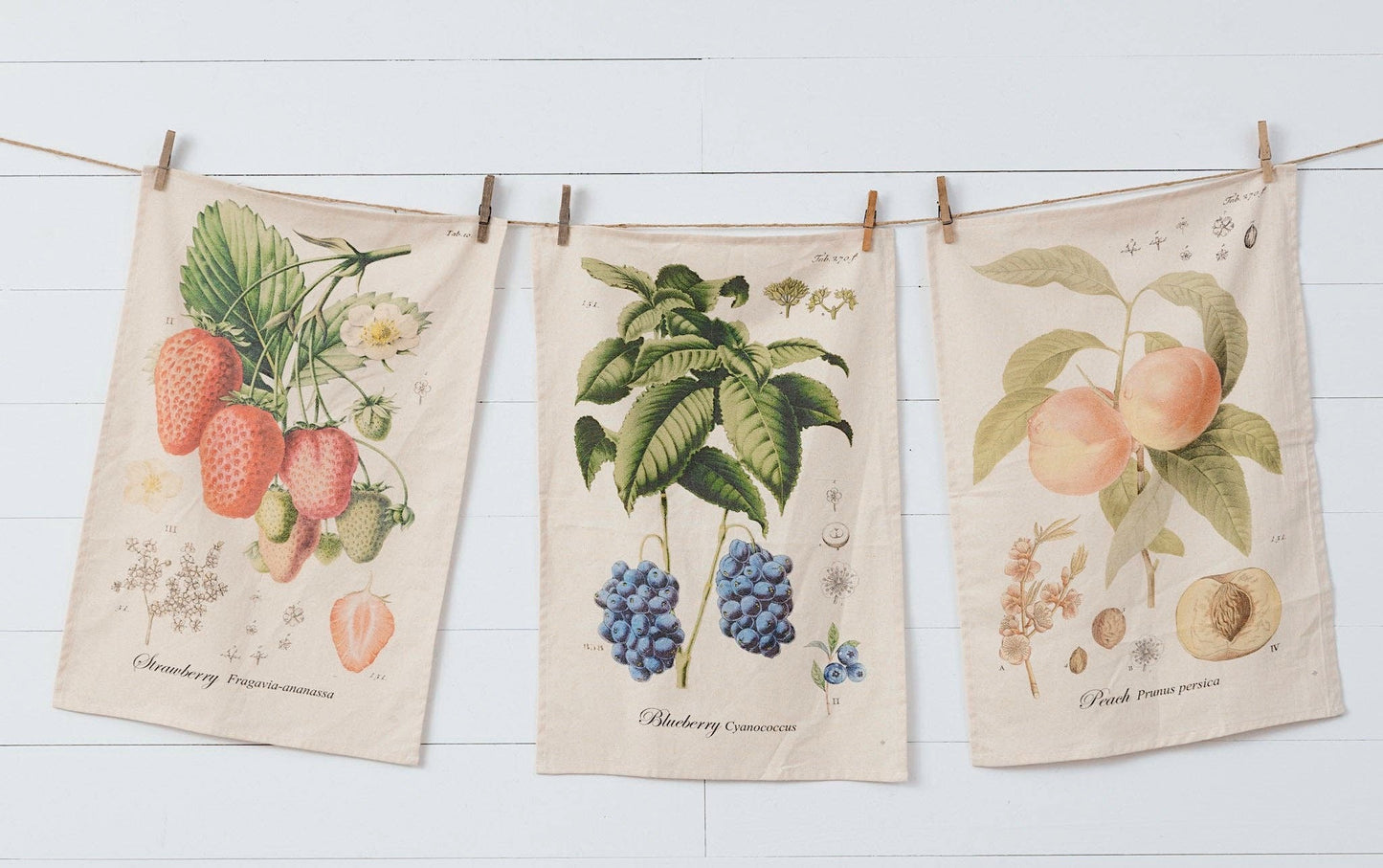 Set of Three Freshly Picked Fruit Botanical Tea Towels