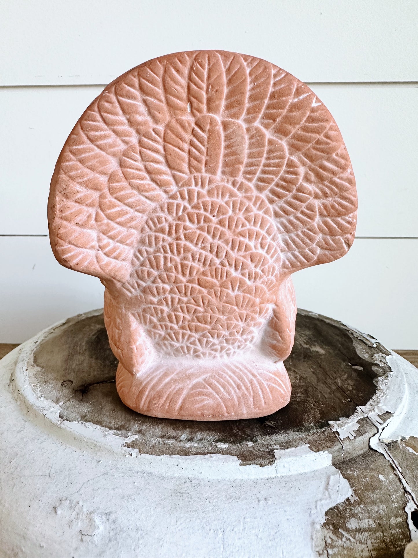 Sweet Little Terra Cotta Turkey