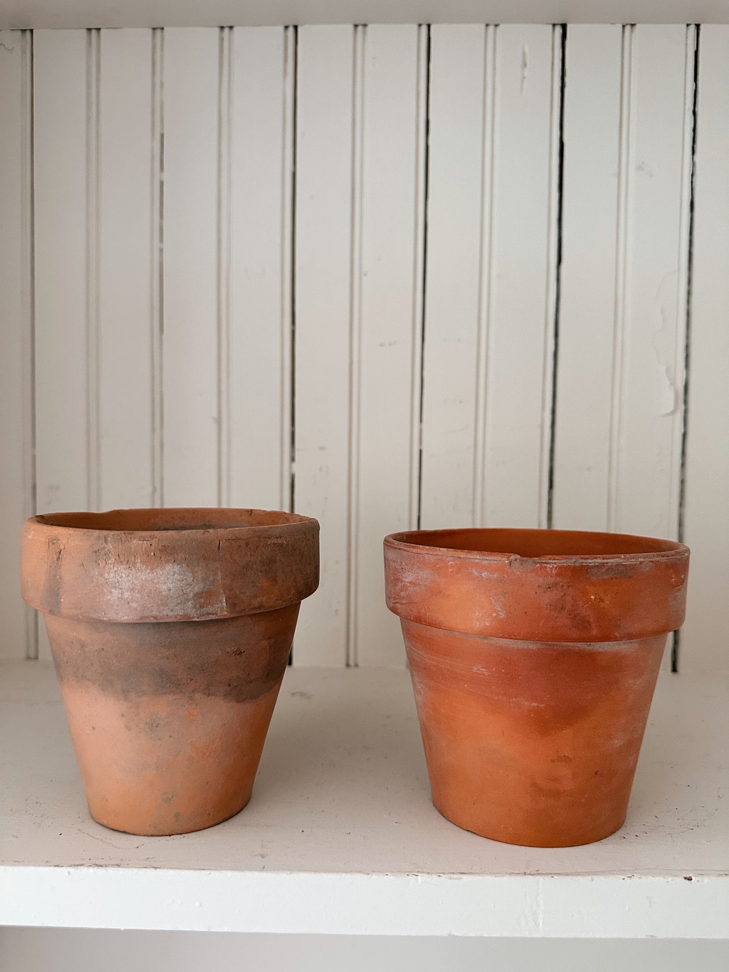 Vintage Chippy Wire Basket & Worn Terra Cotta Pots