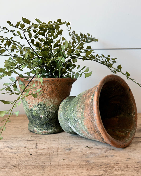Rustic Potier