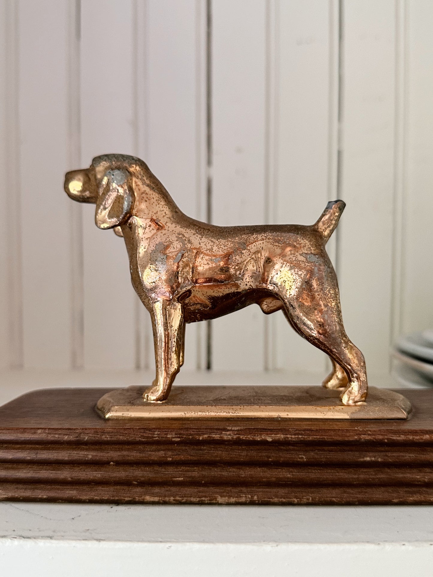 Vintage Dog Trophy