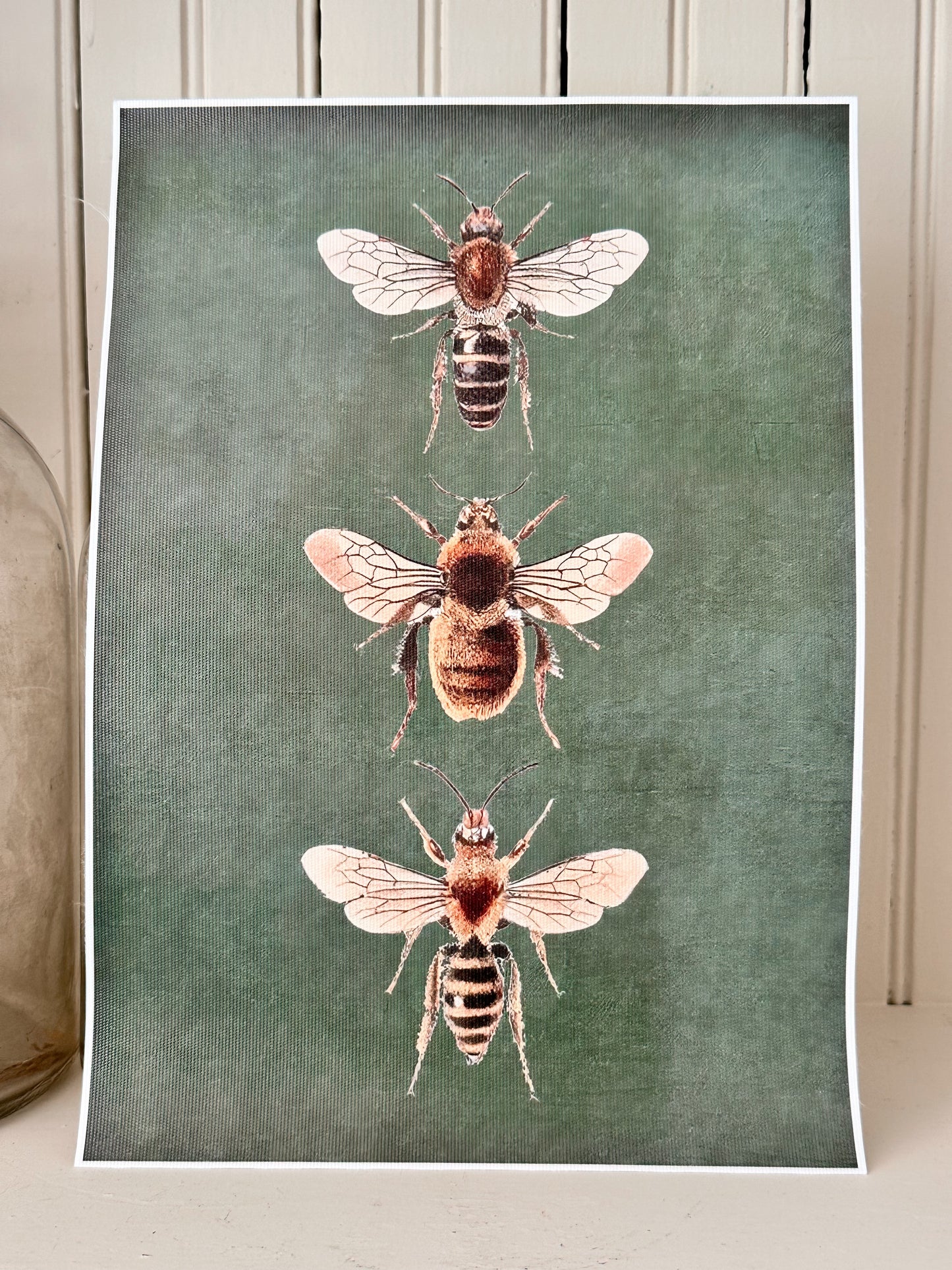 Vintage Bee Print