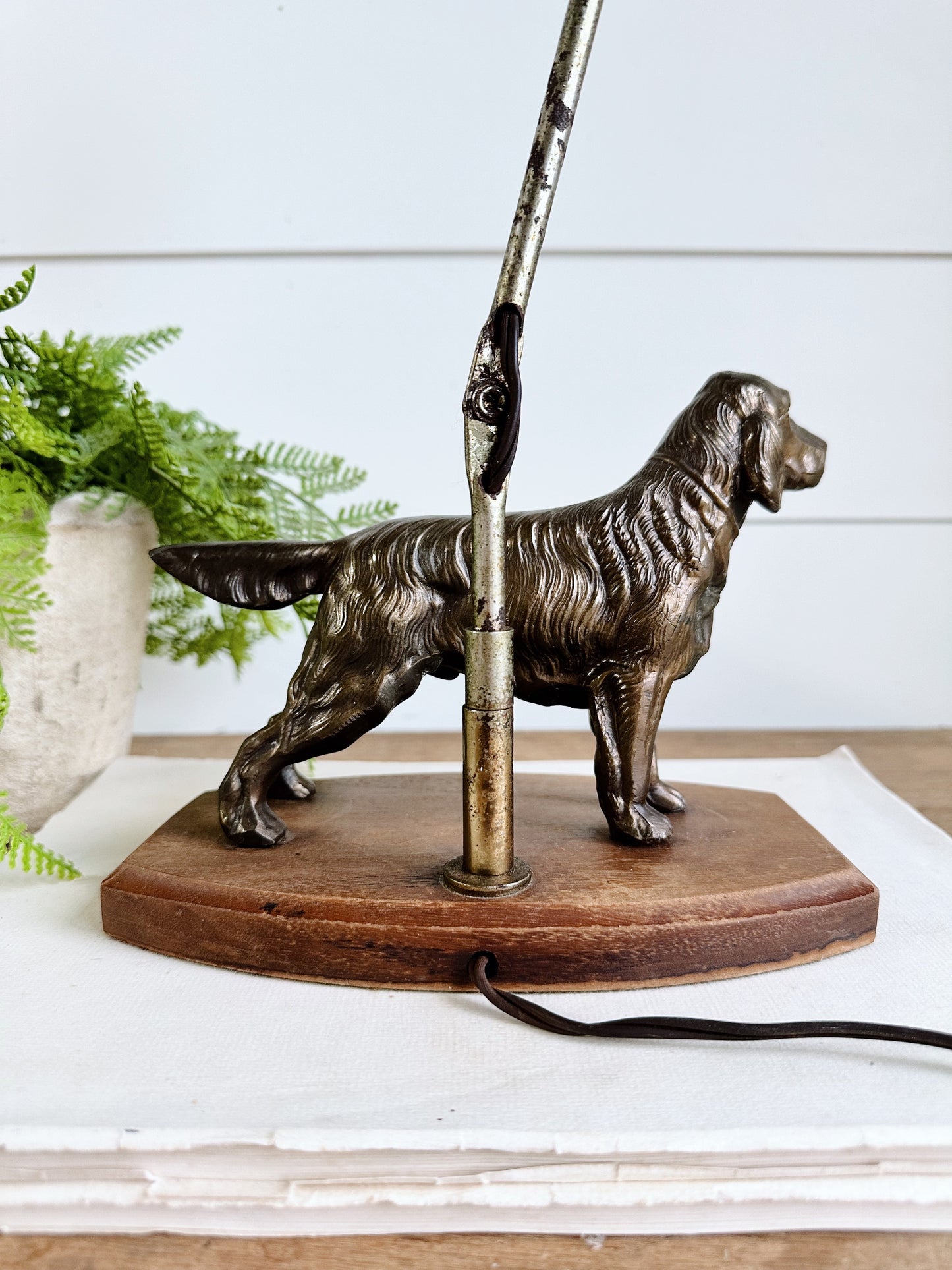 Vintage Irish Setter Lamp