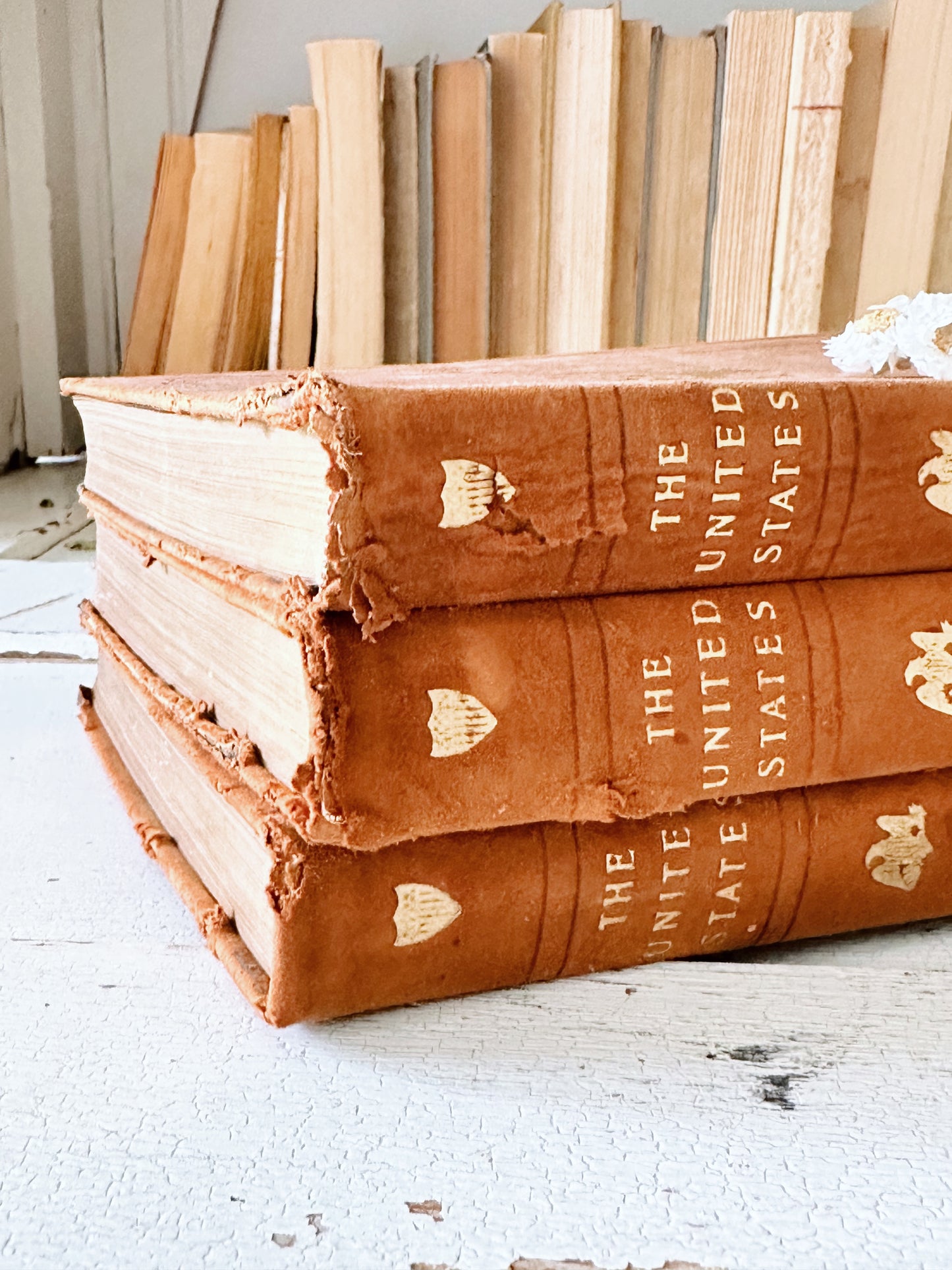 Collection of Three 1913 Antique Suede Bound The United States Books