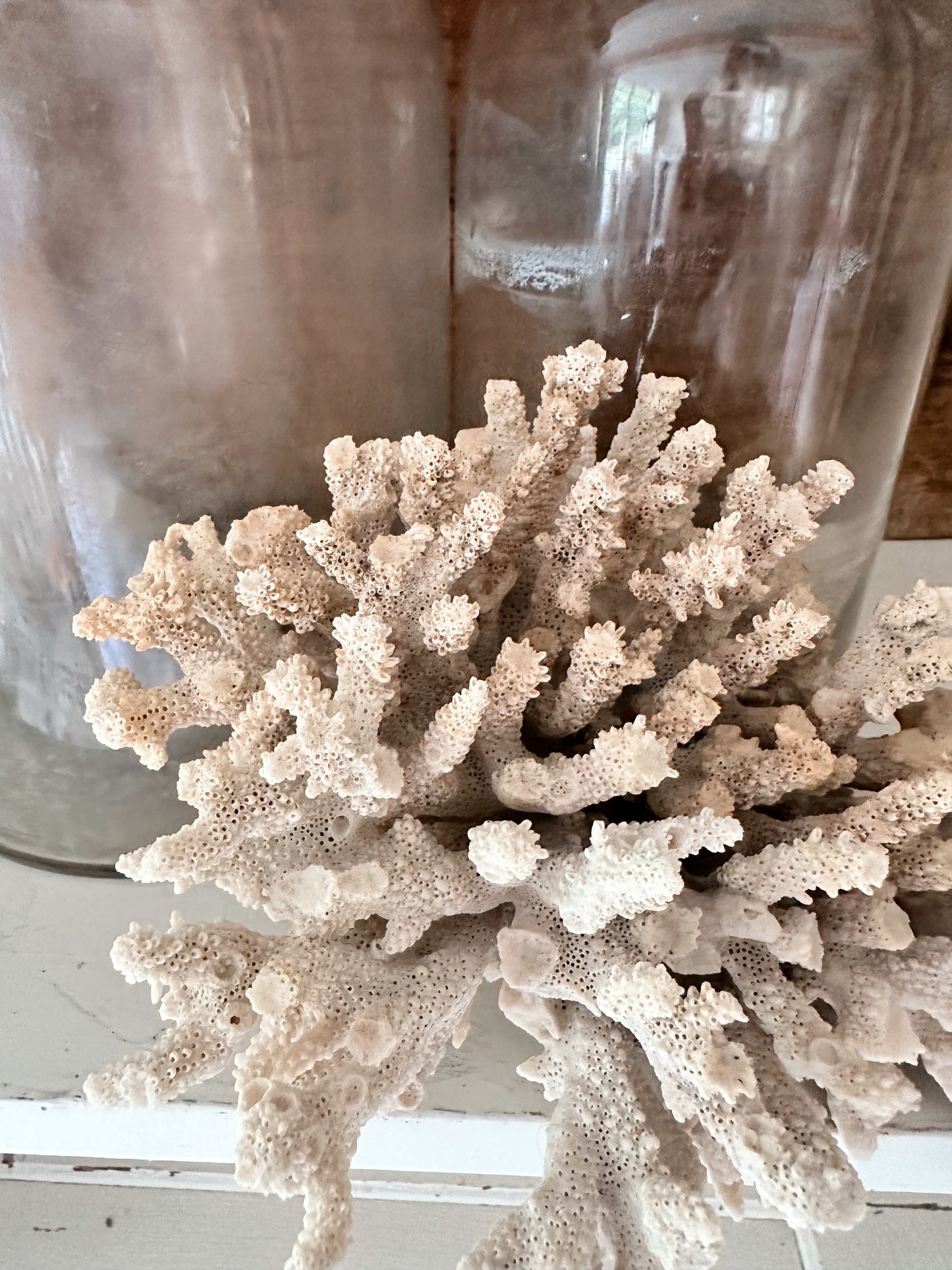 Large Natural Coral Piece