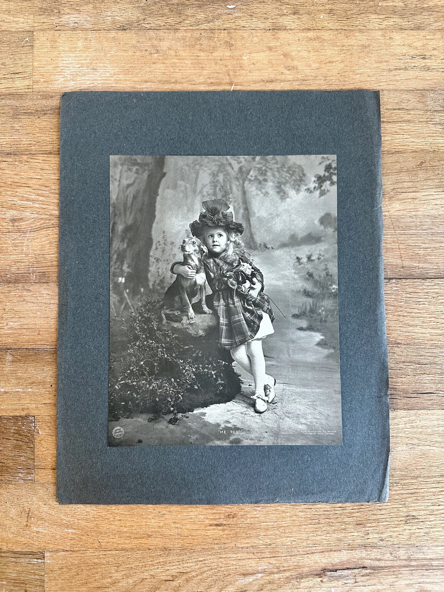 Collection of Six Antique Photo Prints