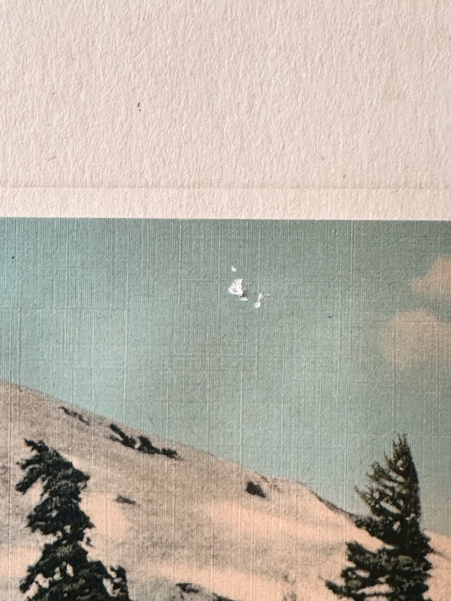 Vintage Winter Print