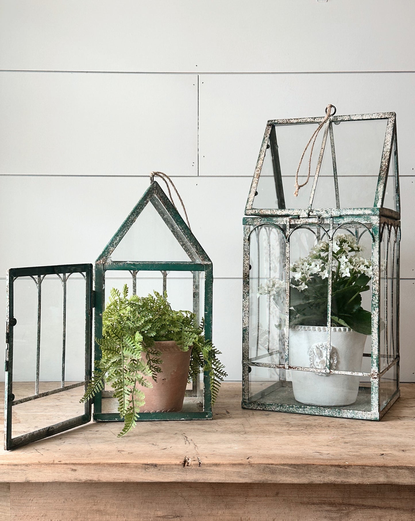 Rustic Metal Terrariums