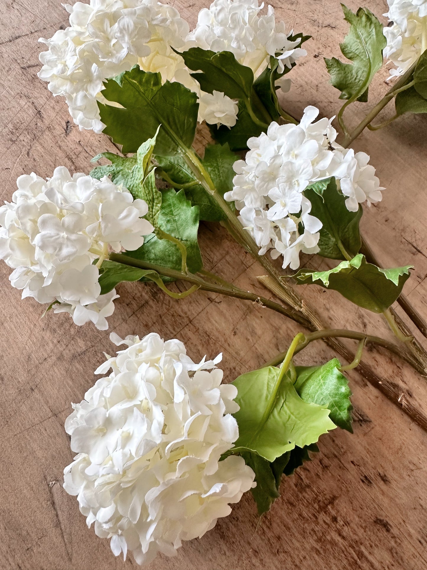 White Snowball Verbena Bundle (3 stems per bundle)