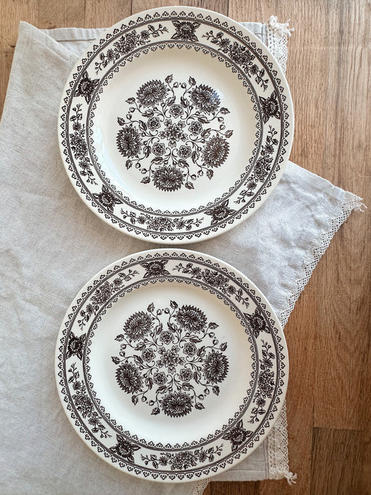 Pair of Vintage Vendome Transferware Dinner Plates