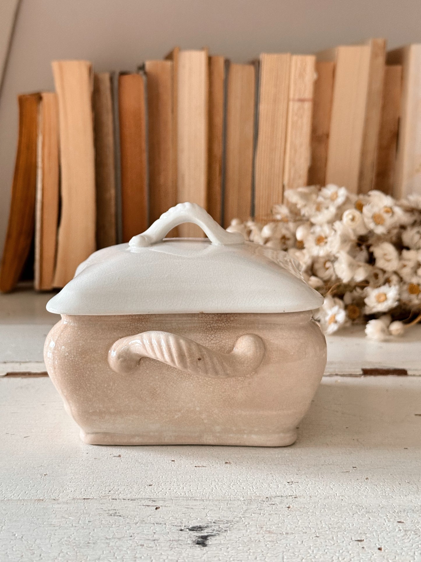 Antique Ironstone Tureen with Drain Plate