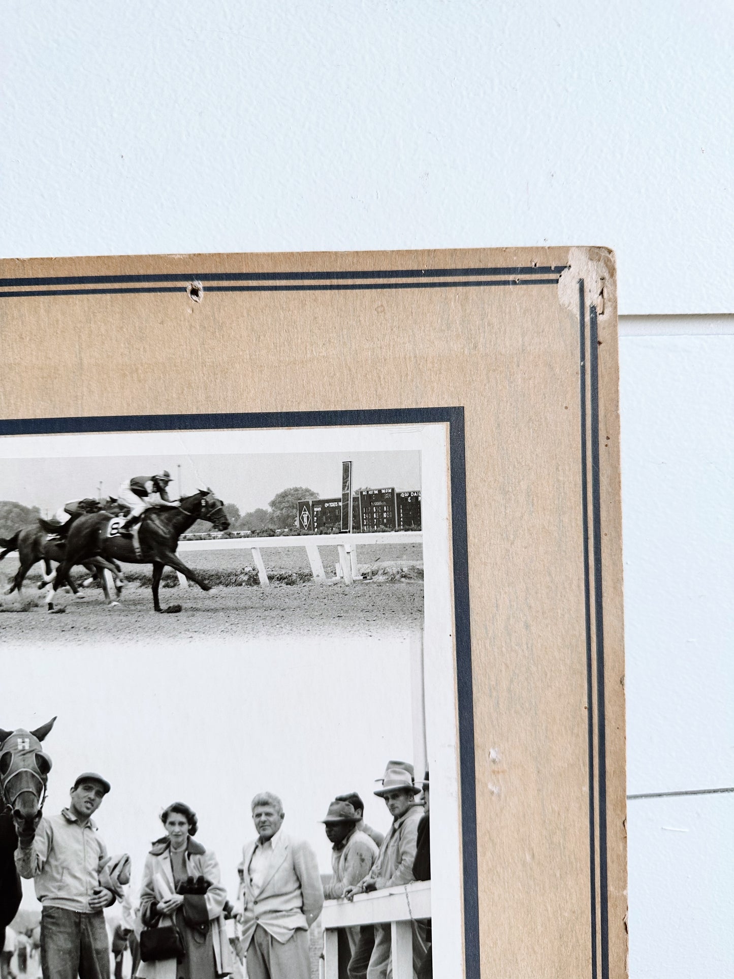 Vintage 1953 Derby Photo (Our Pigeon)