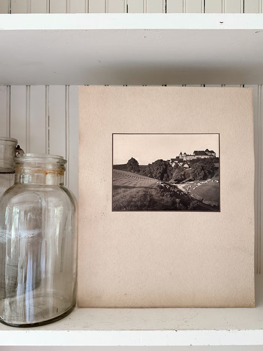 Vintage Photograph, European Hillside with Sheep