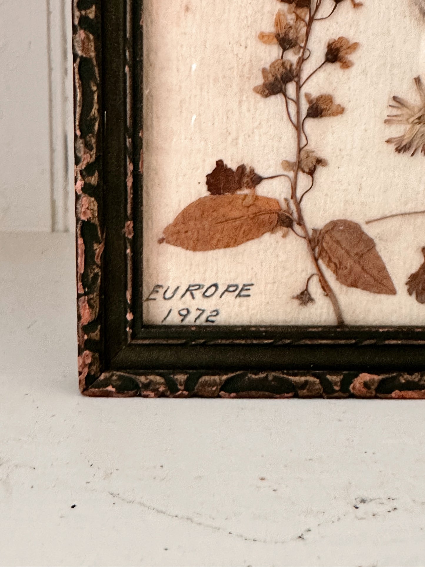 Vintage Framed Pressed Flowers (Europe 1972)