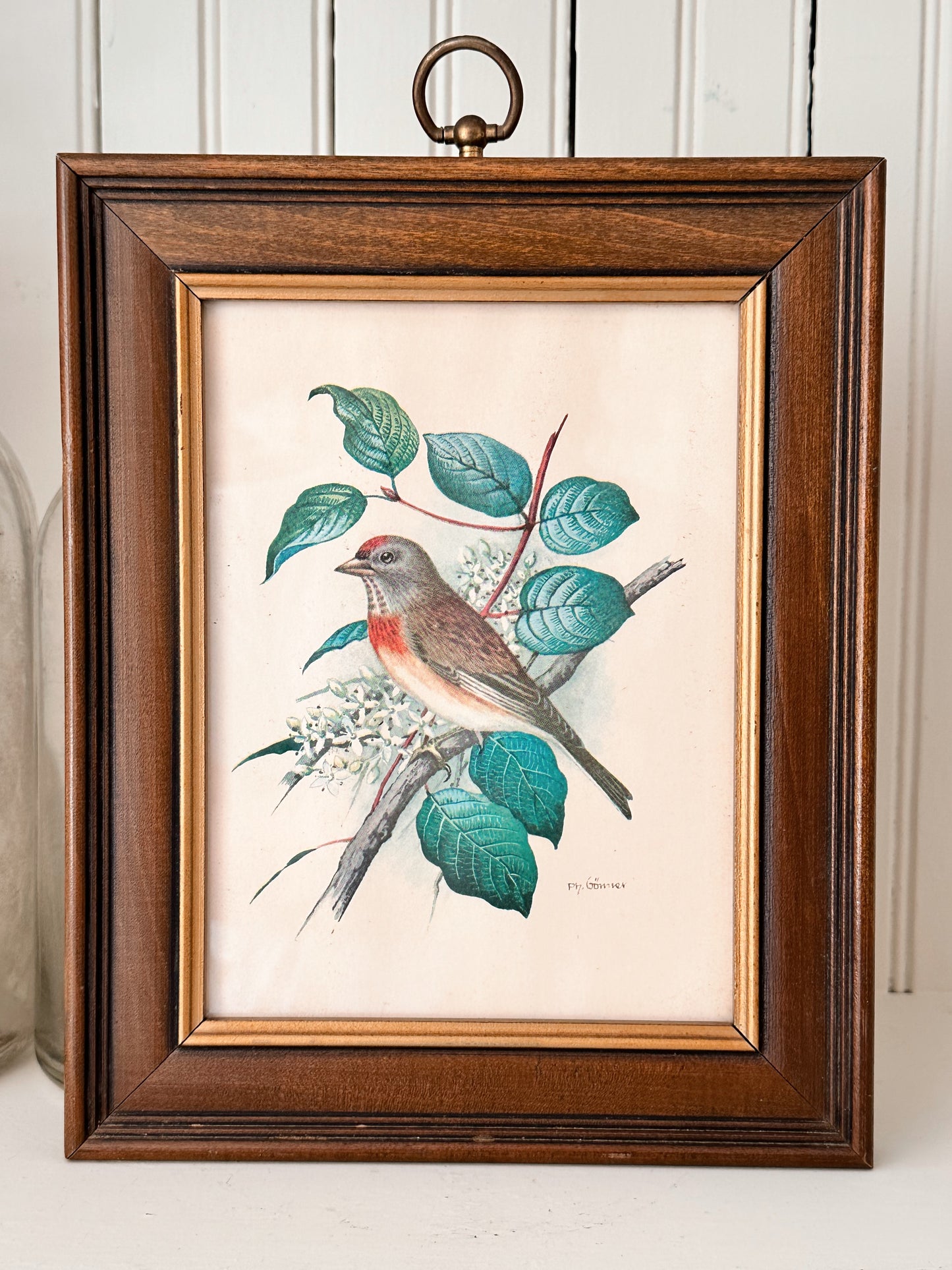 Vintage Bird Print