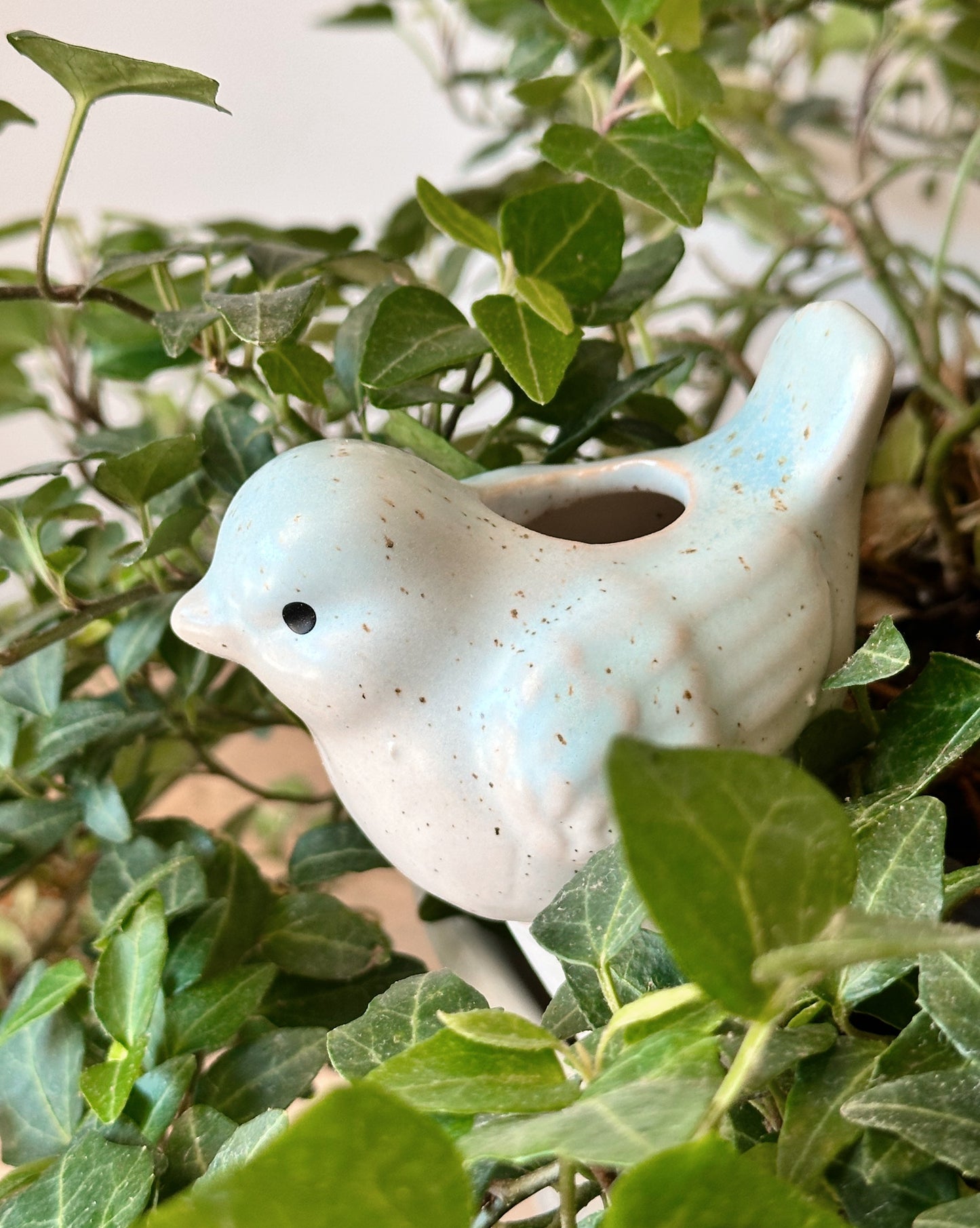 Self Watering Plant Spikes
