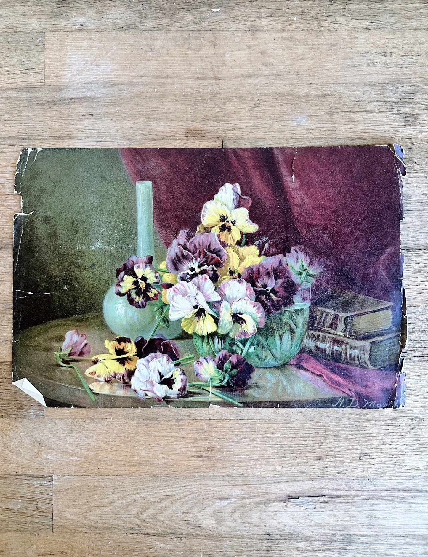 Collection of Two Antique Still Life Prints