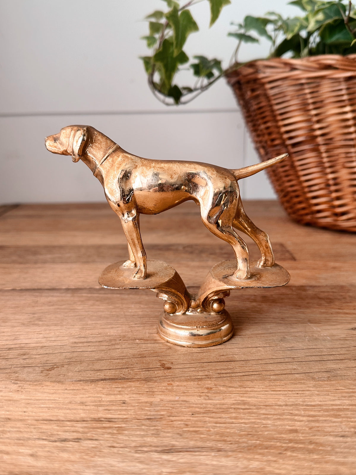 Vintage Dog Show Trophy Top