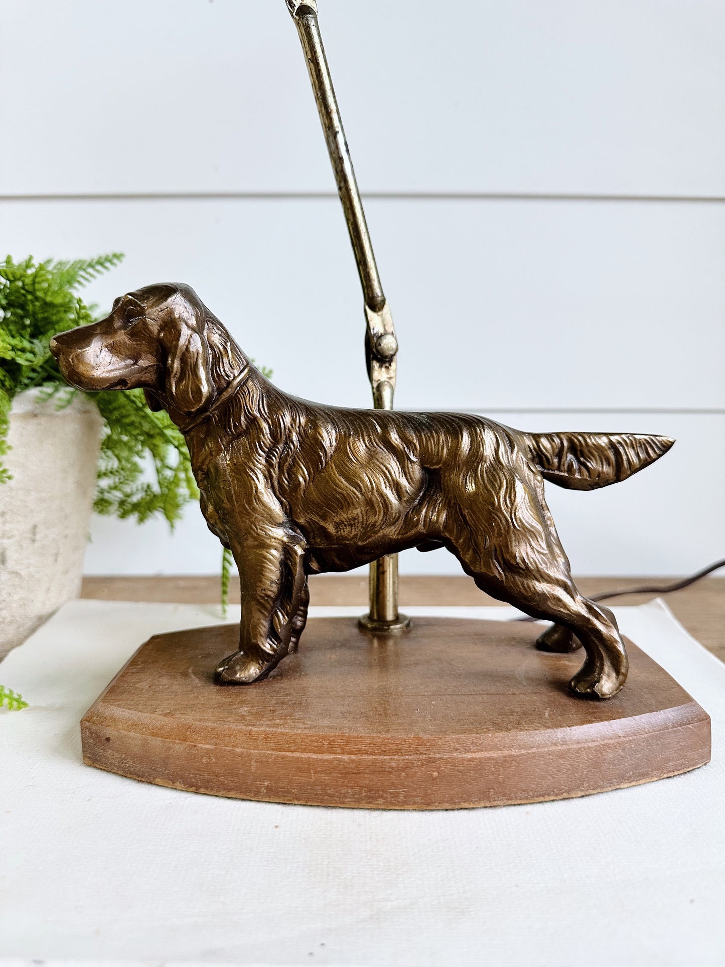 Vintage Irish Setter Lamp