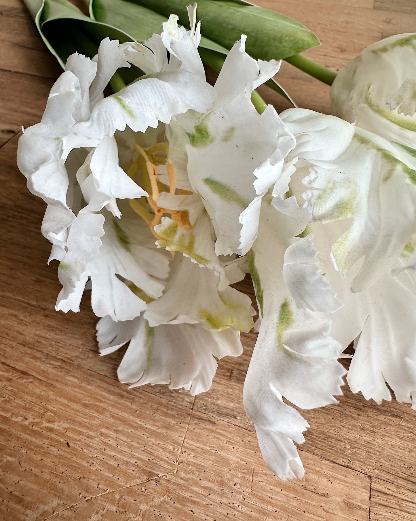 27" Soft Touch Parrot Tulip Bundle