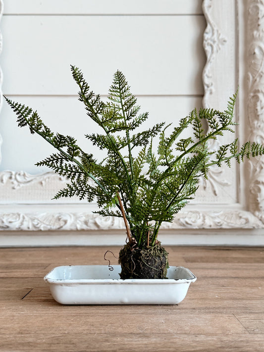 Faux Fern Drop In