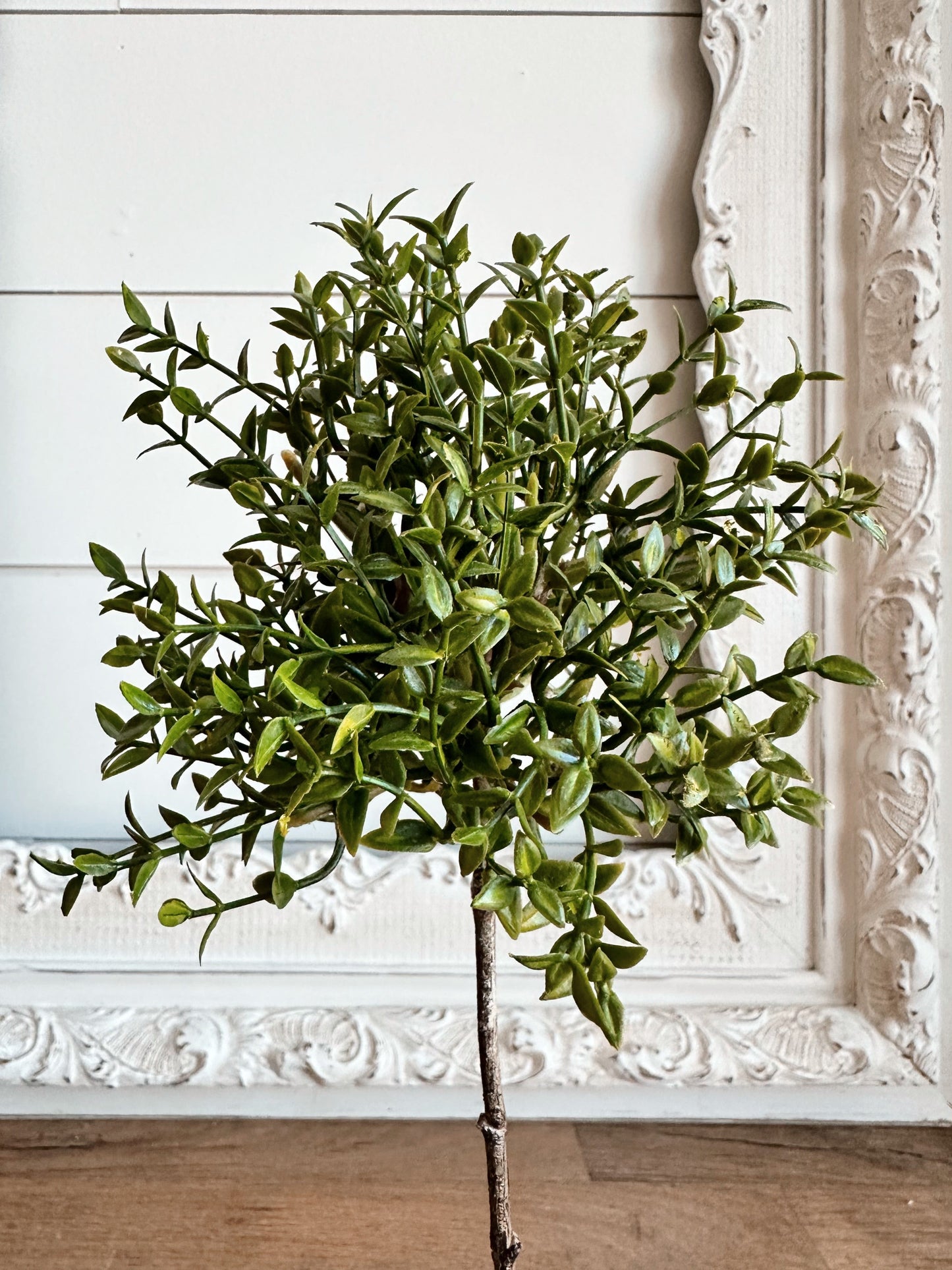 Faux Thyme Topiary