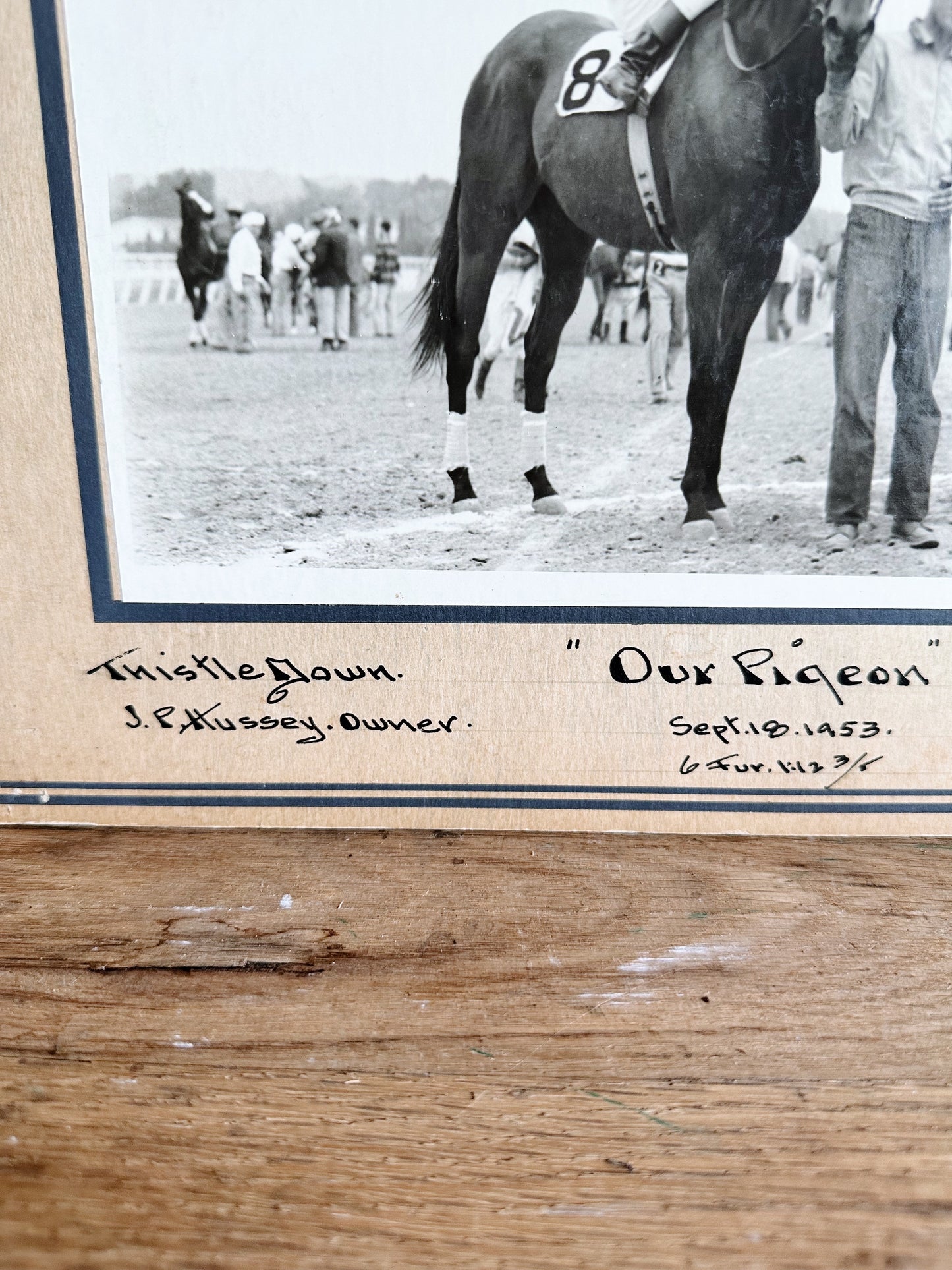 Vintage 1953 Derby Photo (Our Pigeon)