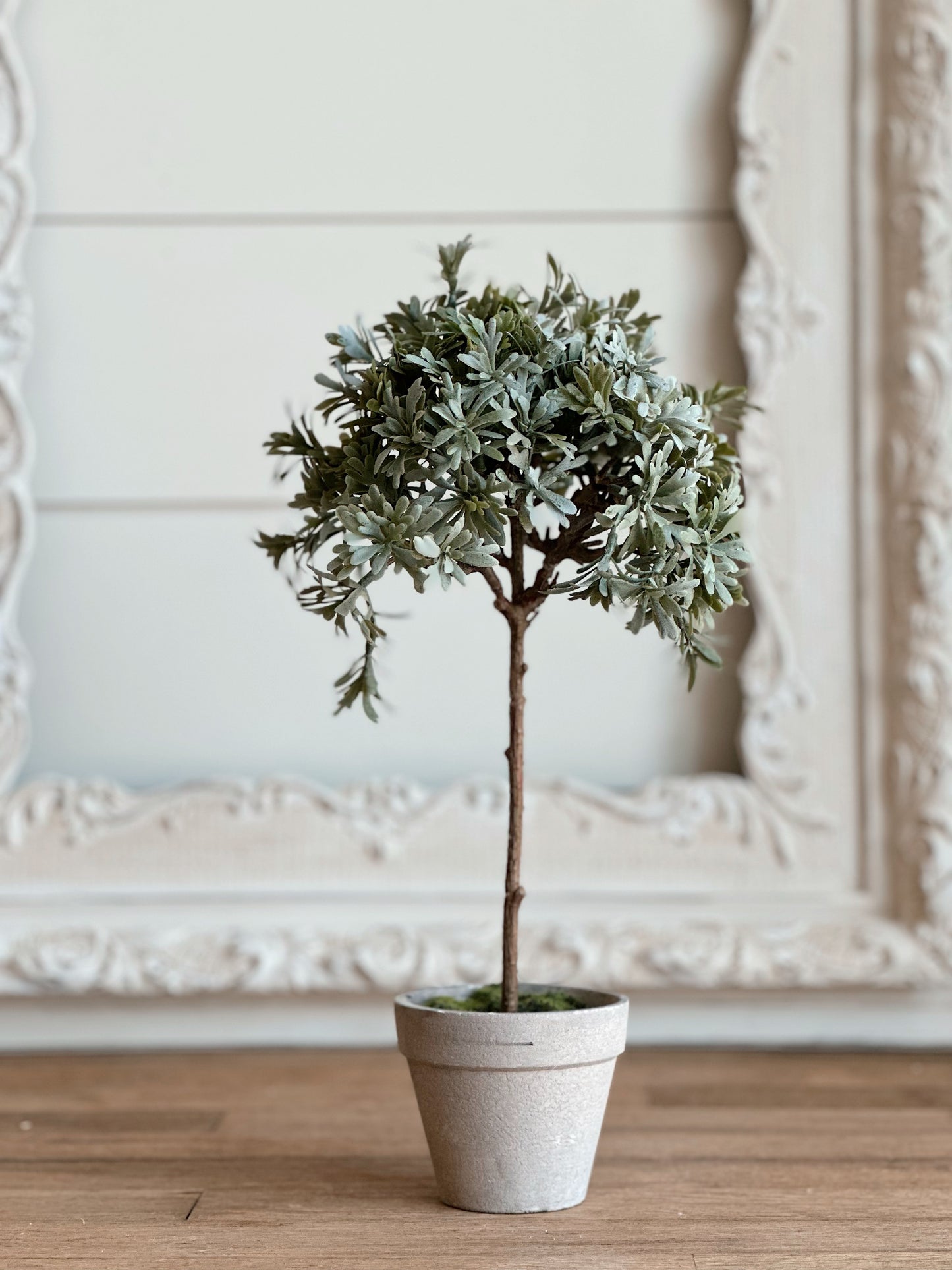 Faux Senecio Topiary