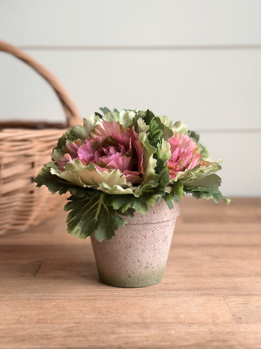 Faux Potted Purple Cabbage