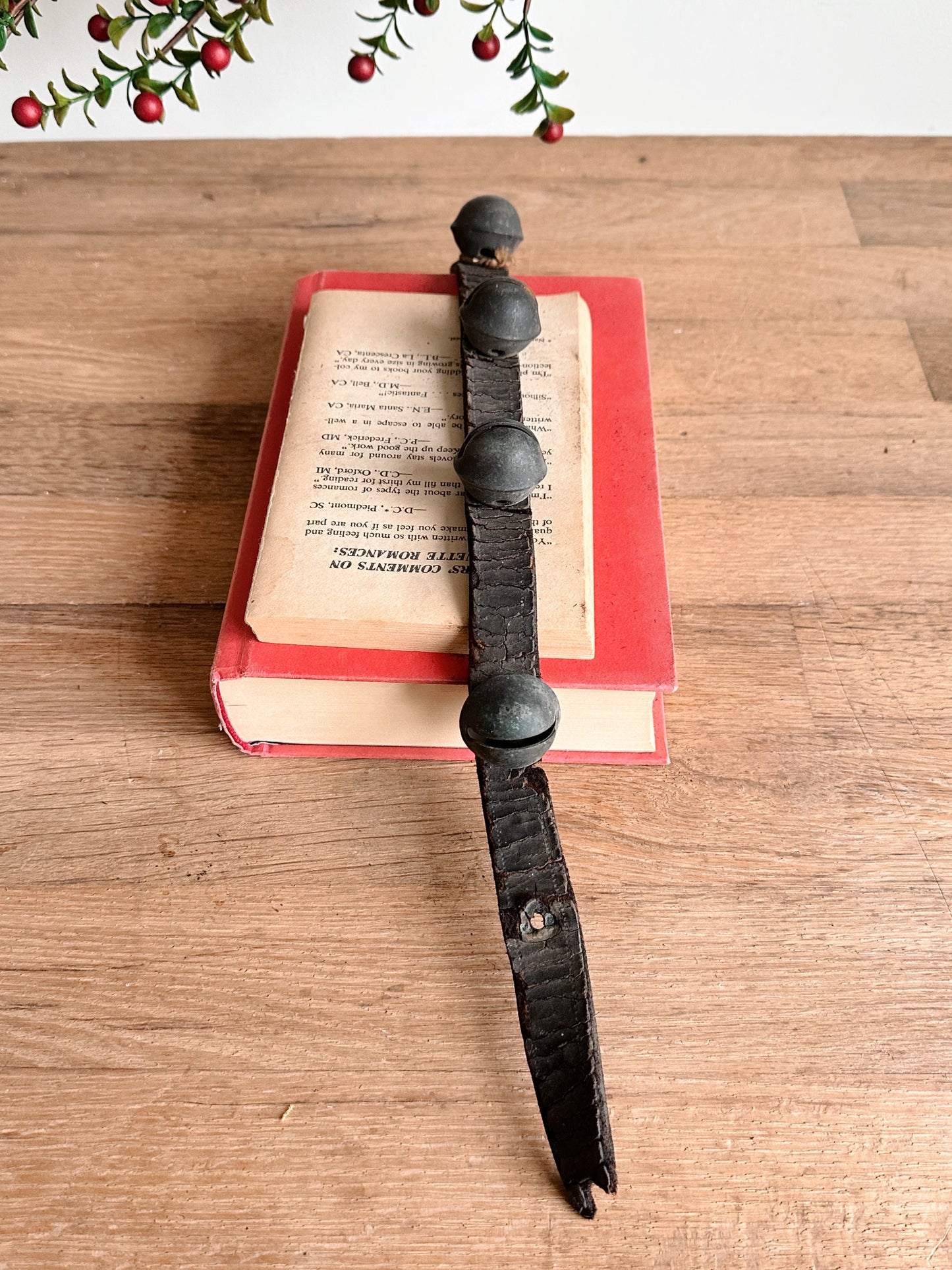 Antique Sleigh Bells