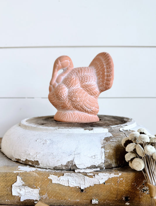 Sweet Little Terra Cotta Turkey