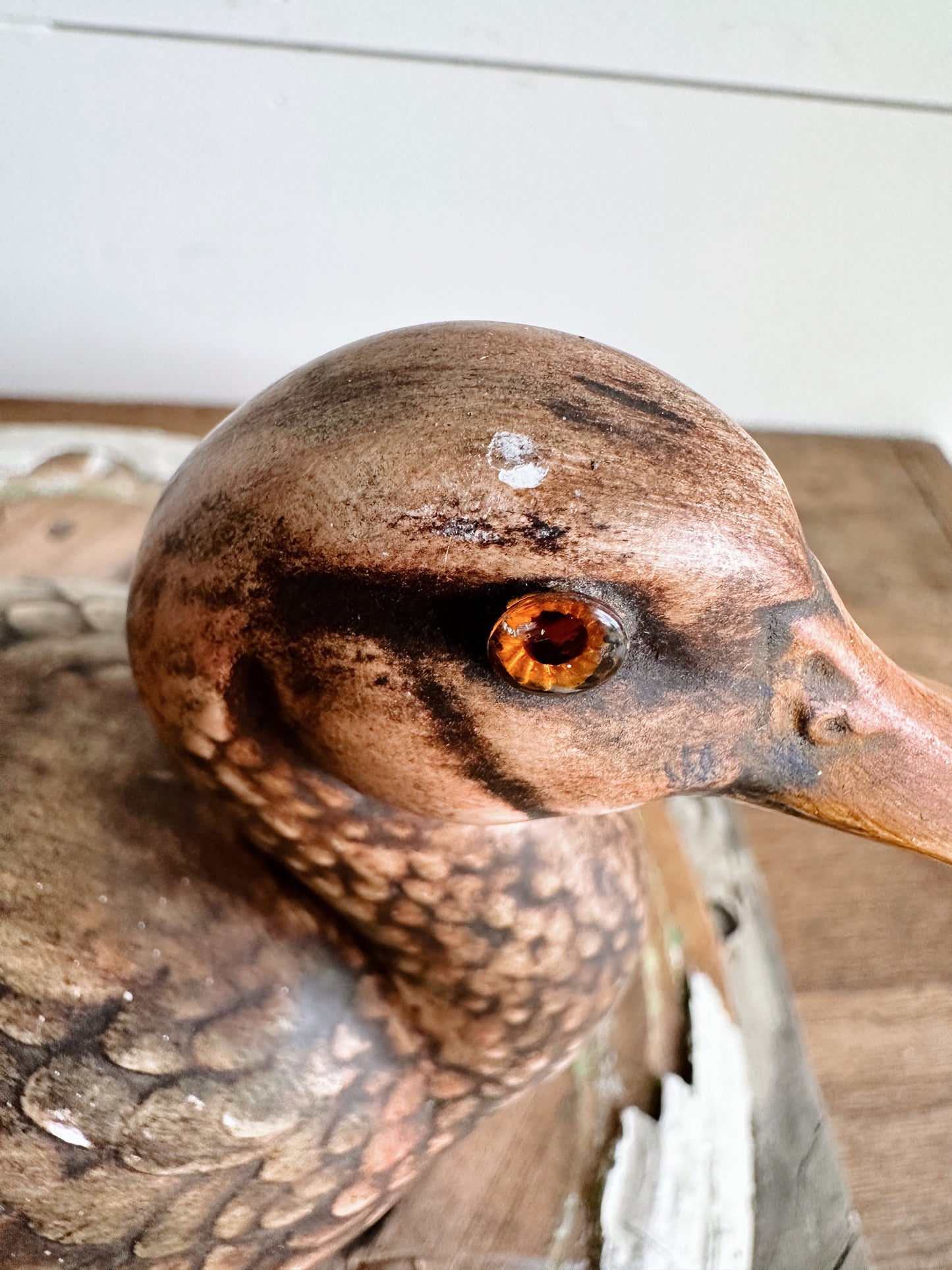 Pretty Vintage Duck