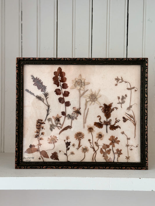 Vintage Framed Pressed Flowers (Europe 1972)