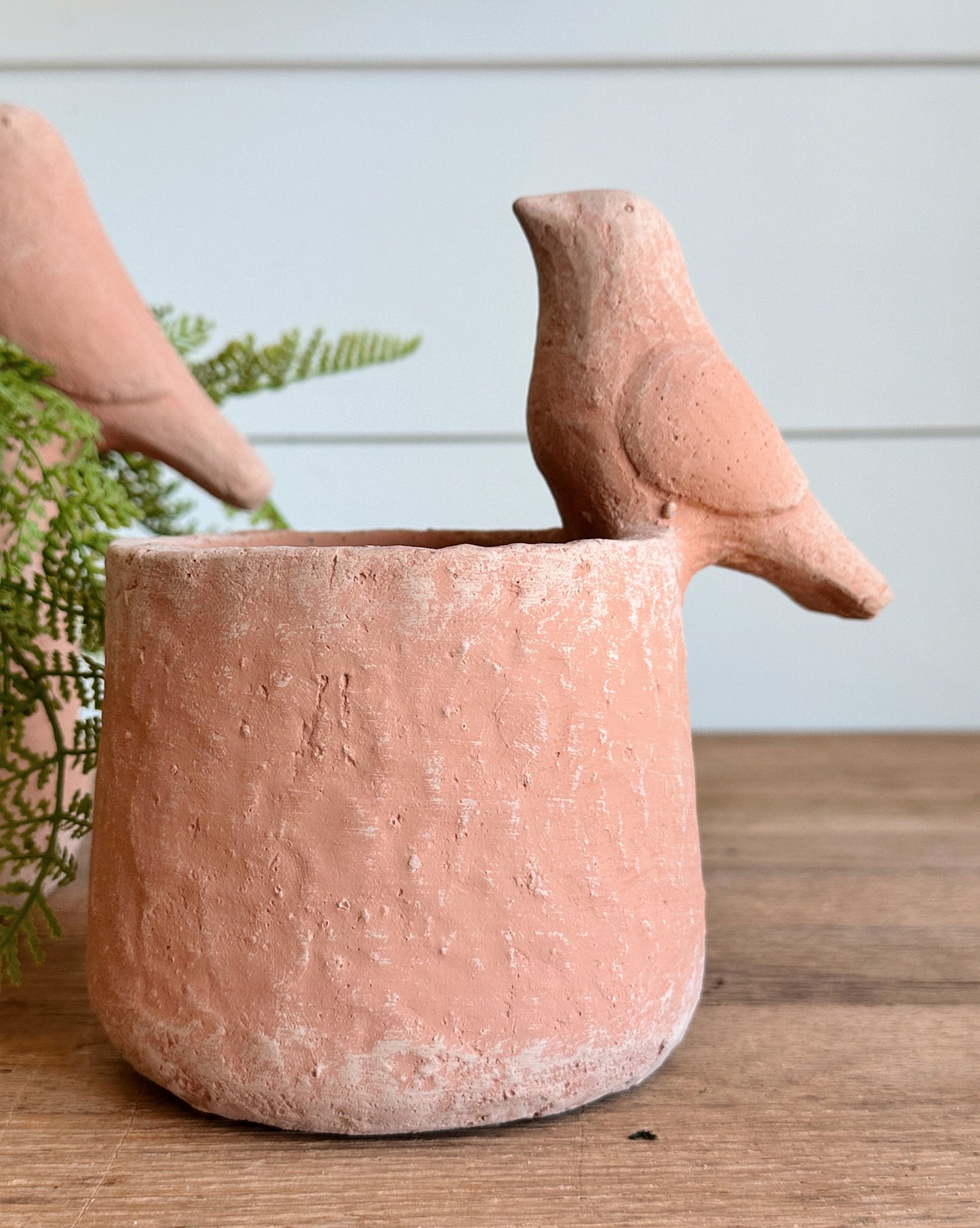 Concrete Bird Planters