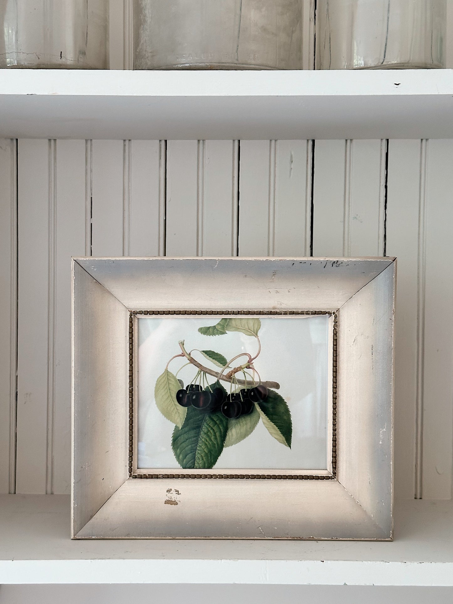 Vintage Framed Botanical Print (Dark Cherries)