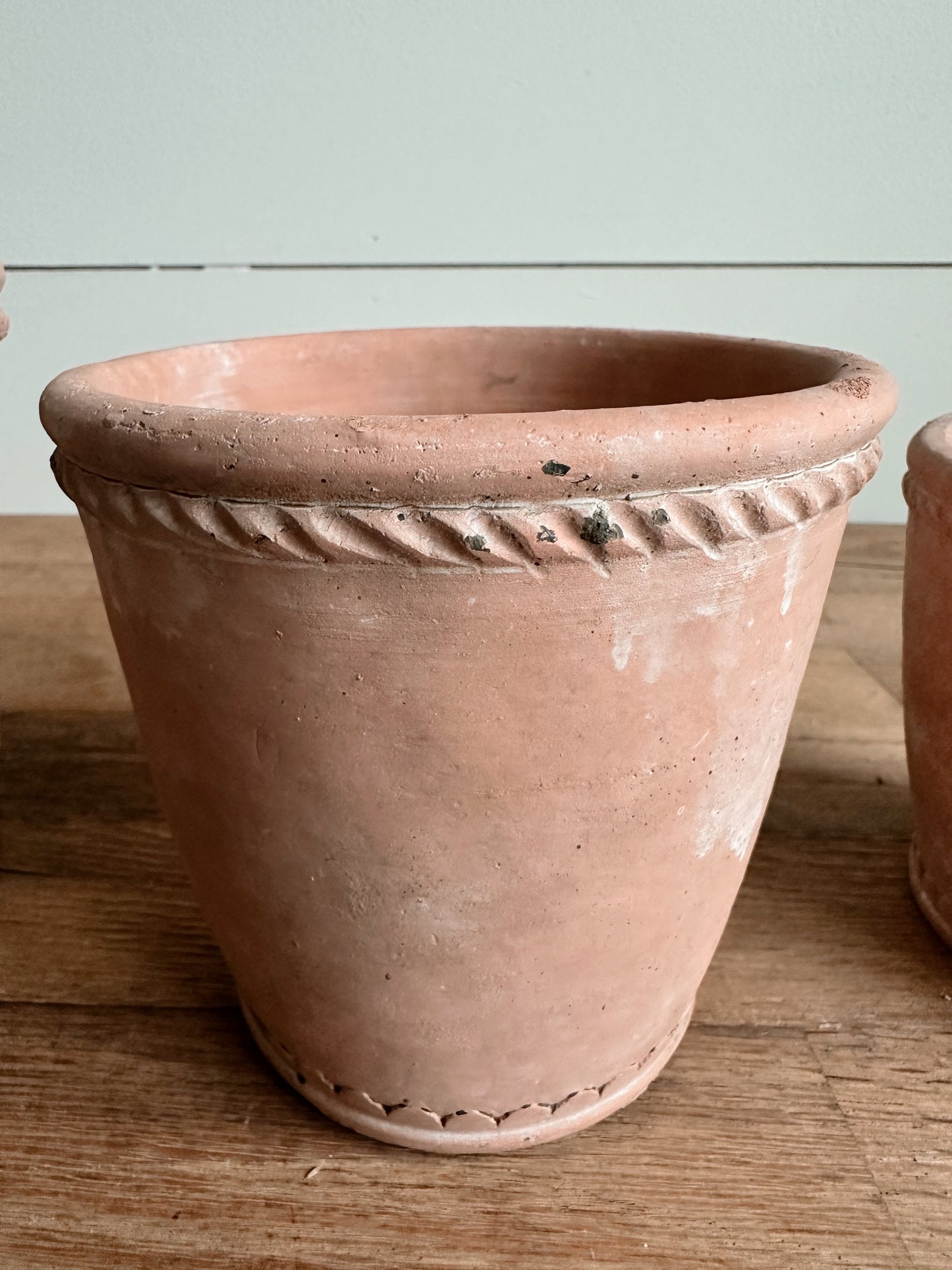 Scalloped Bottom Cement Pots