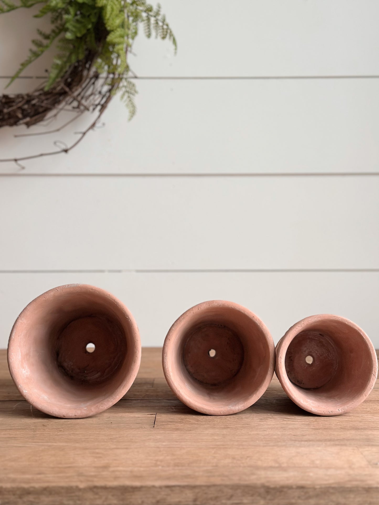 Scalloped Bottom Cement Pots