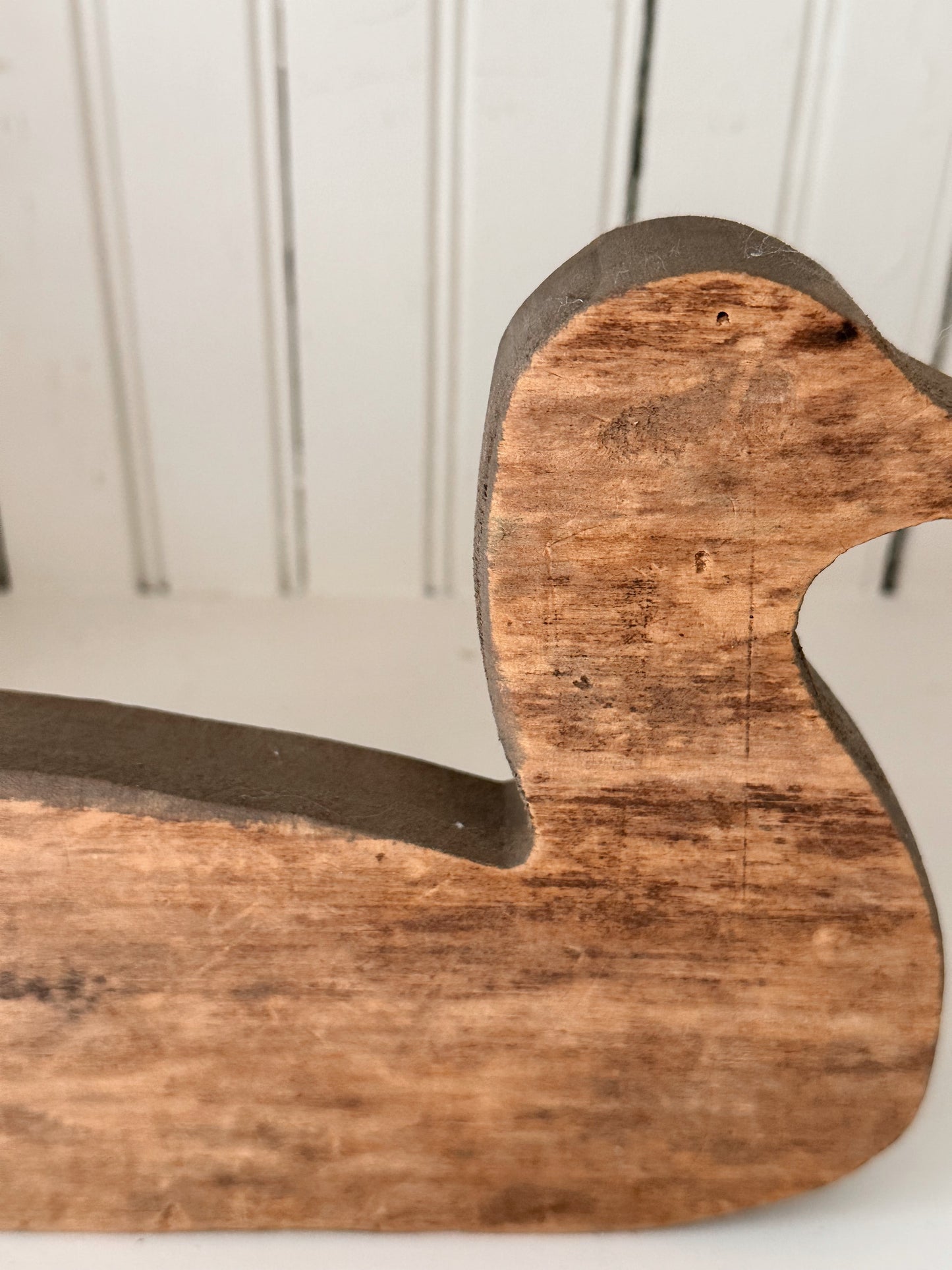 Vintage Wood Duck