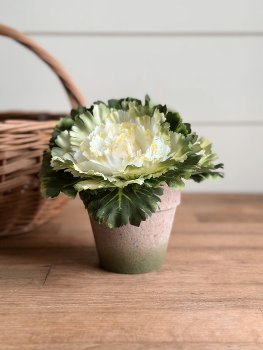 Faux Potted White Cabbage