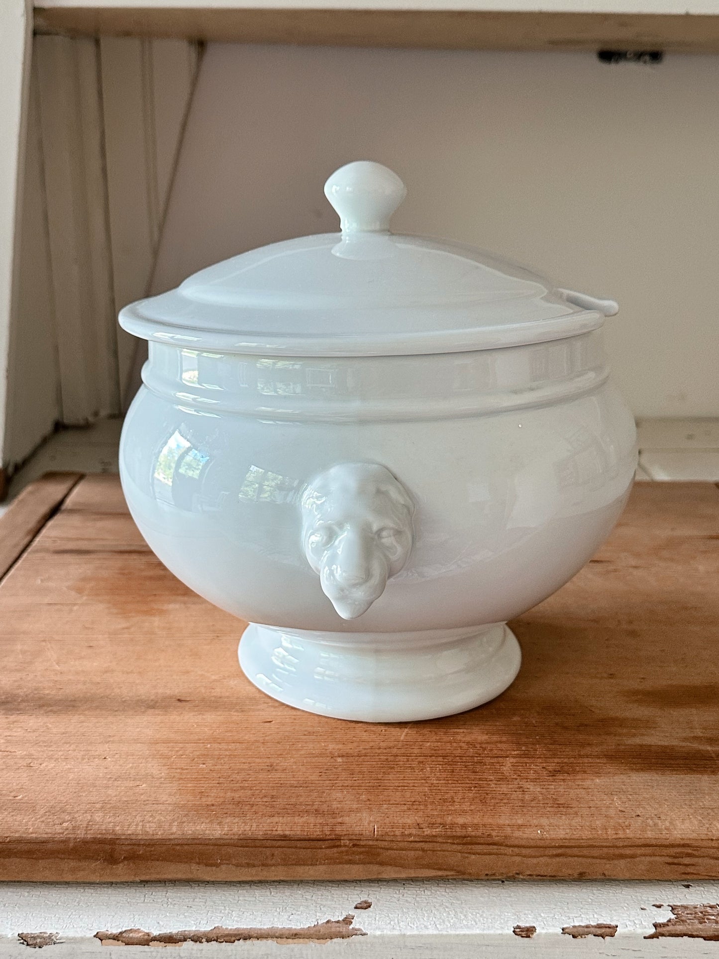 Vintage Porcelain Lion Head Soup Tureen