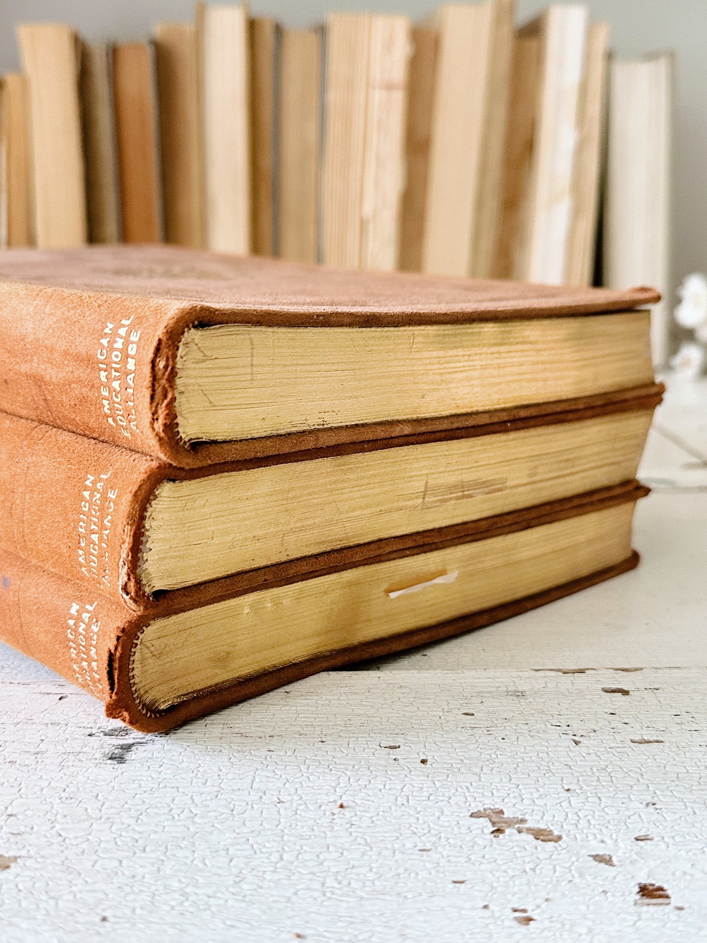 Collection of Three 1913 Antique Suede Bound The United States Books