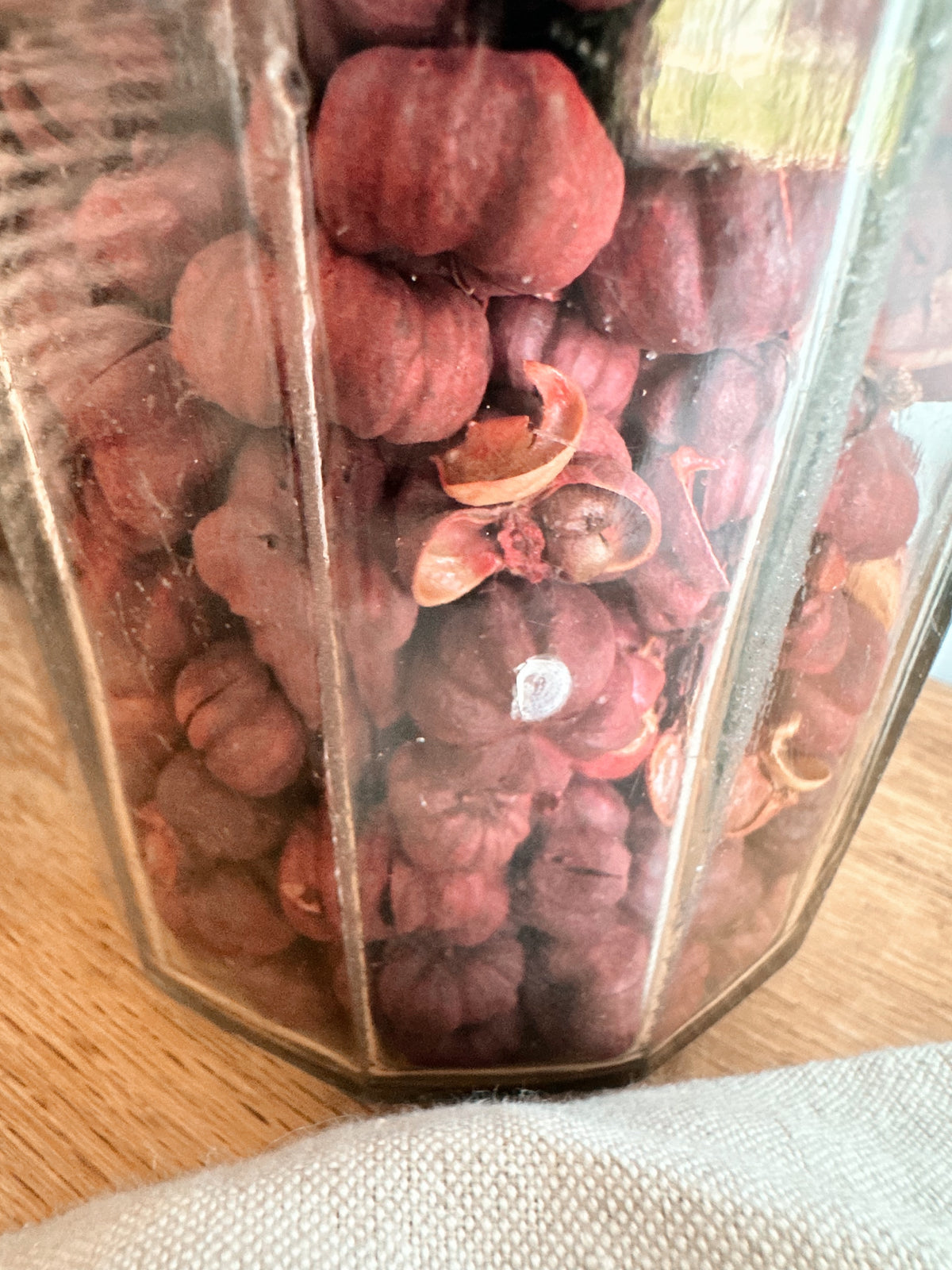 Antique Coffee Canister Filled with Dried Putka Pods