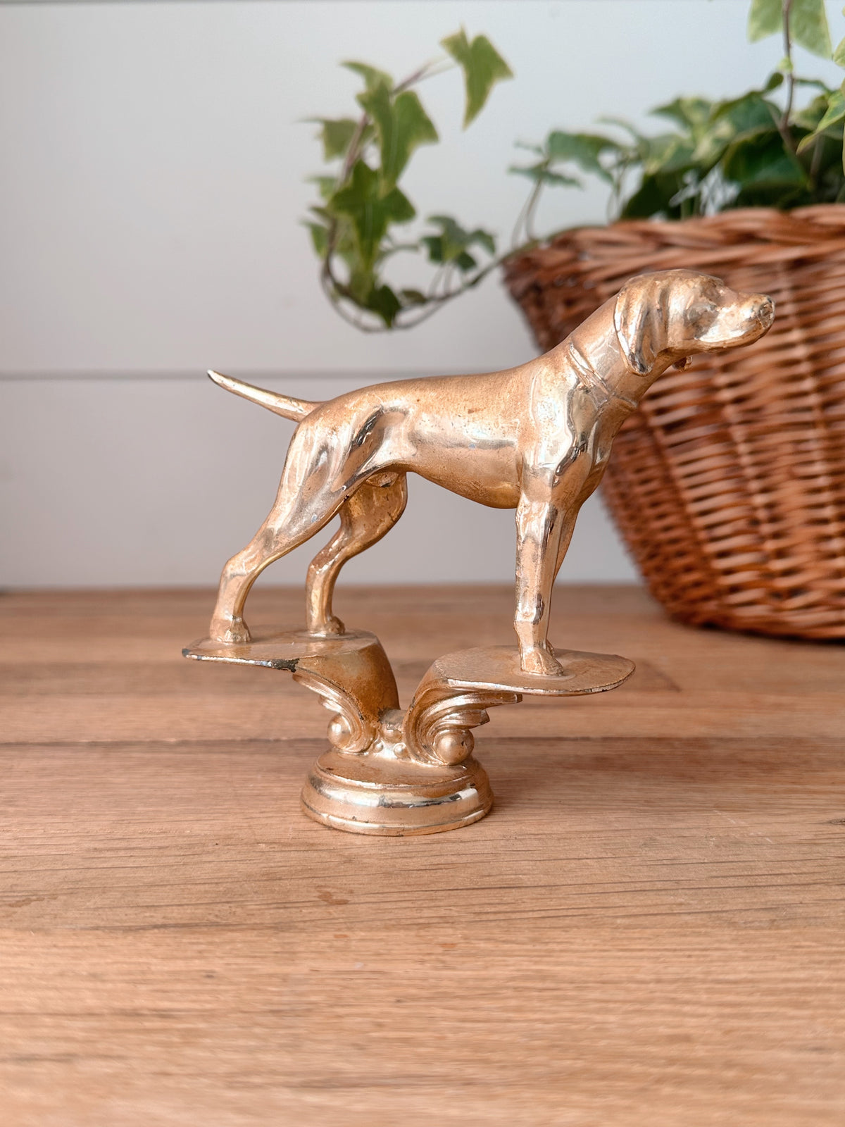 Vintage Dog Show Trophy Top