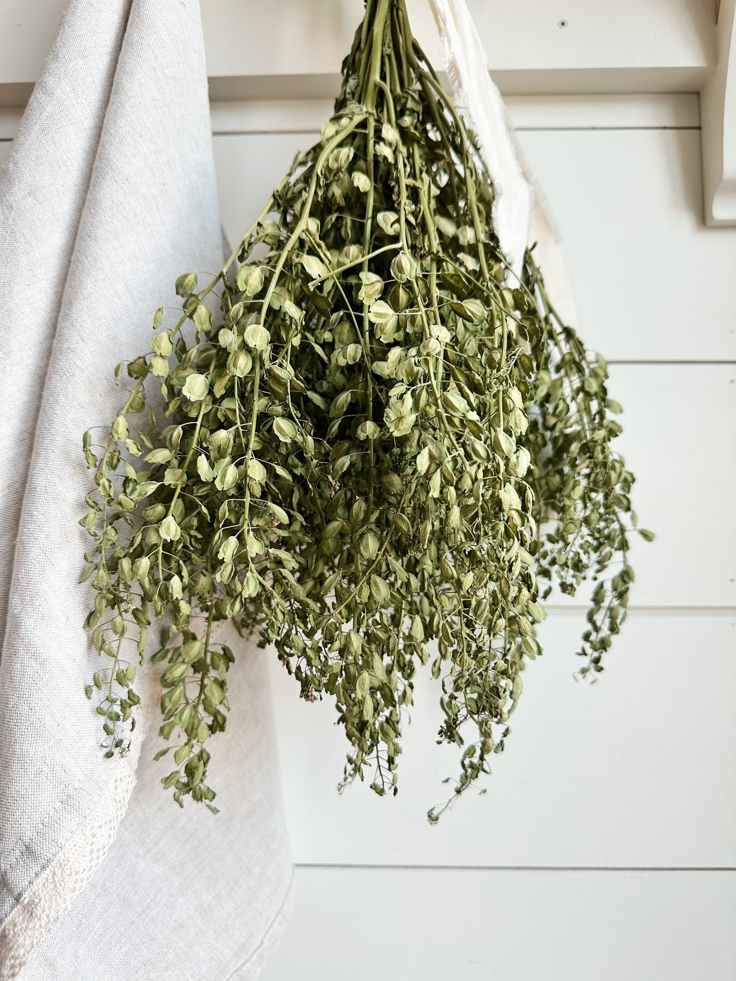Dried Cress