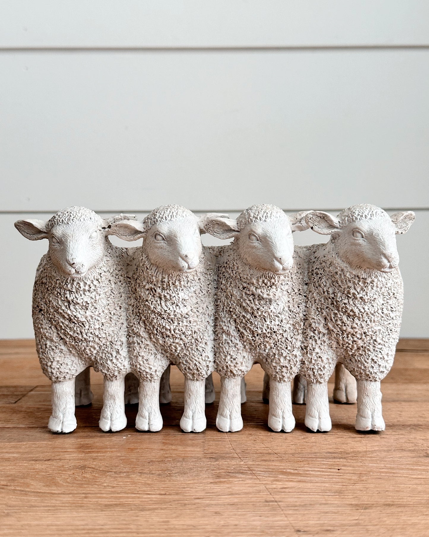 Flock of Lambs Planter