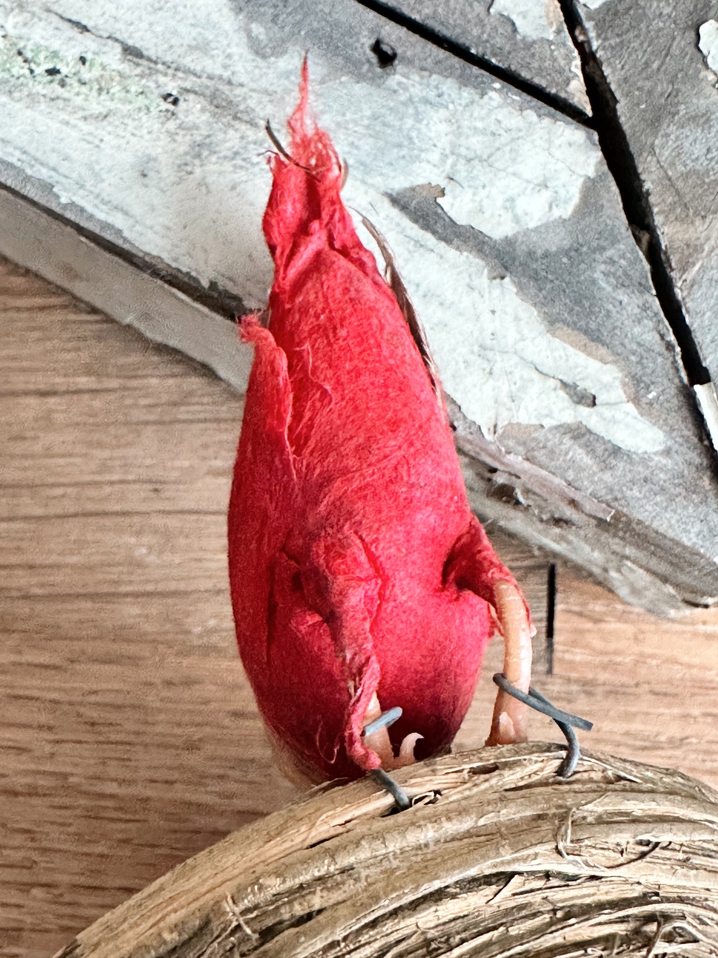Rare Antique Spun Cotton Bird on a Nest Ornament