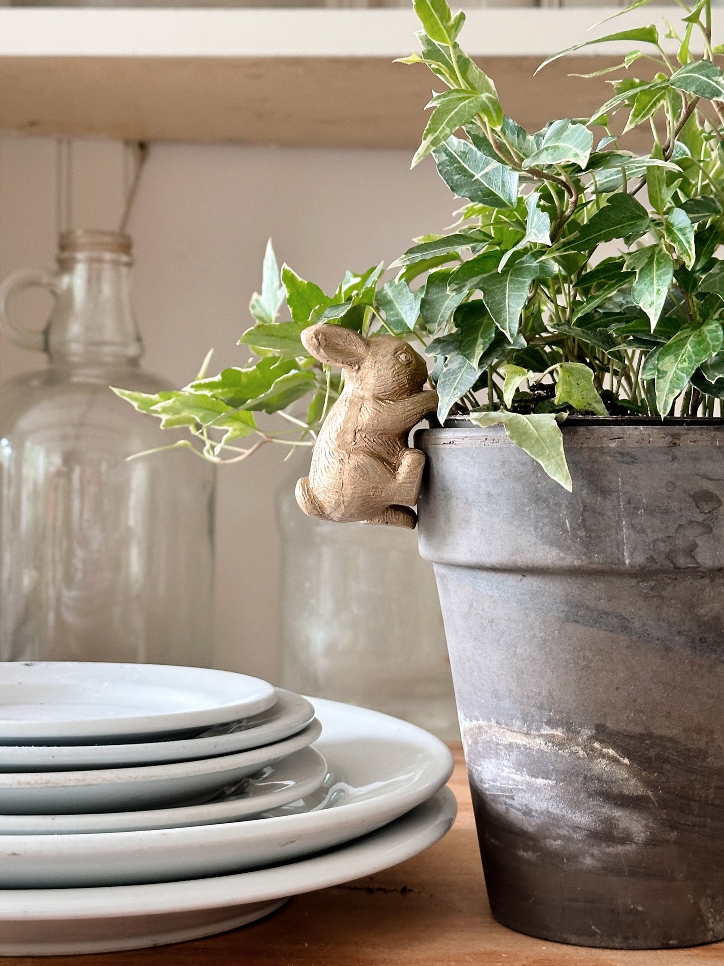 Set of Two Rabbit Flower Pot Hangers