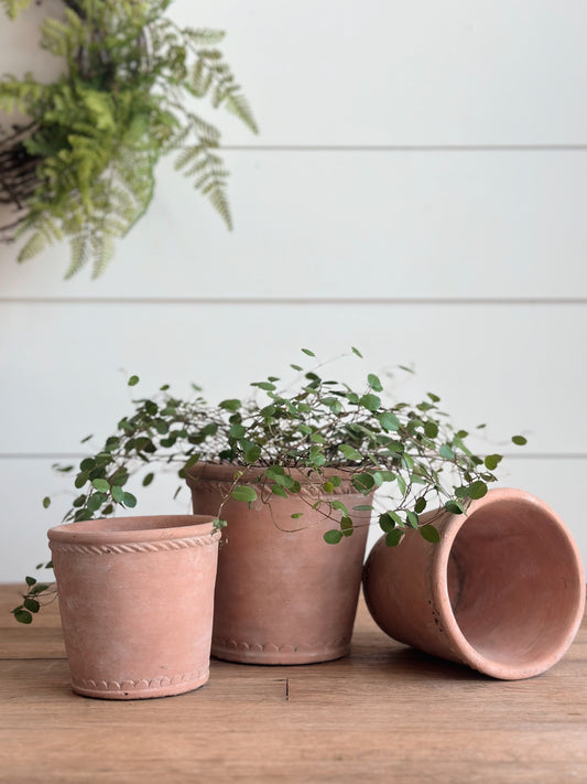 Scalloped Bottom Cement Pots