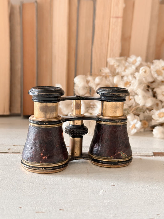 Vintage Opera Glasses