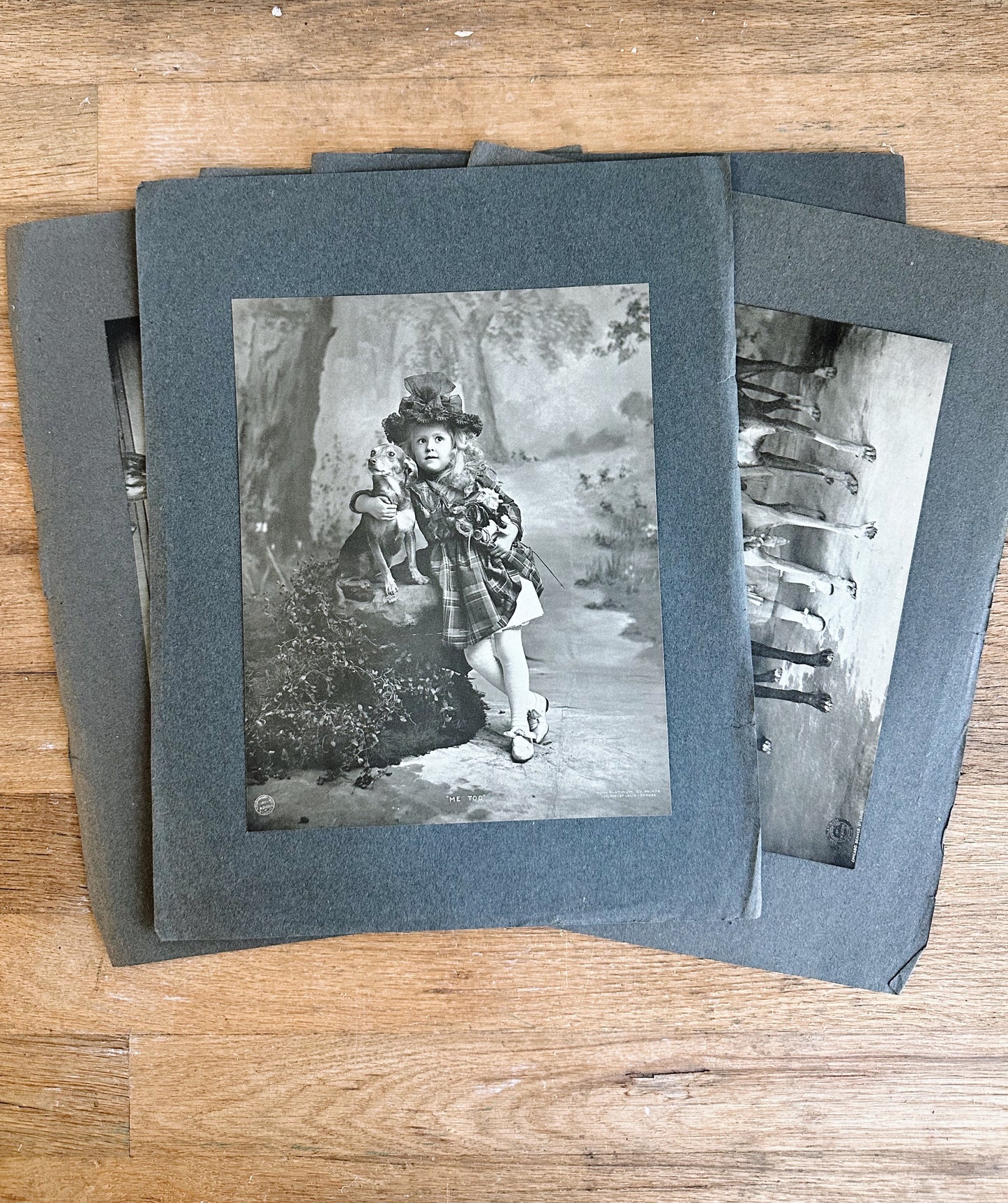 Collection of Six Antique Photo Prints